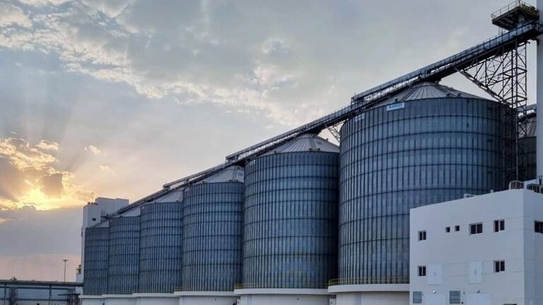 Oman plans wheat grain storage facility in Ibra as food security investment grows